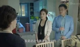 爆料刘哥历史事件视频播放,视频播放背后的真相与争议